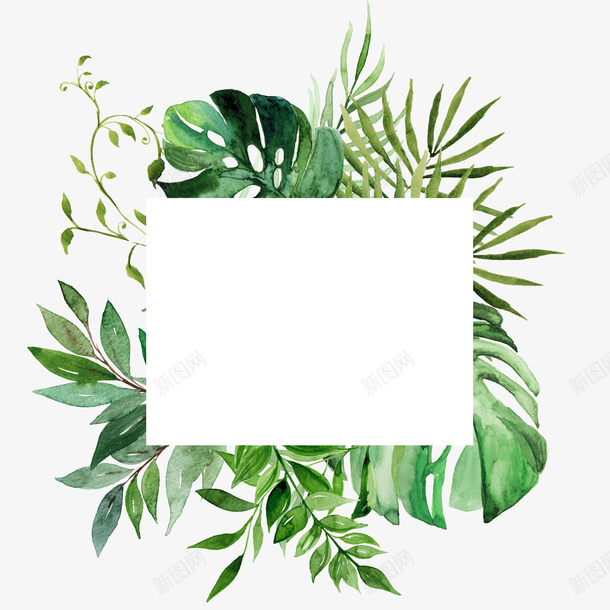手绘清新花卉花框png免抠素材_新图网 https://ixintu.com 手绘 清新 绿叶花框 花卉 花框 花边 装饰框