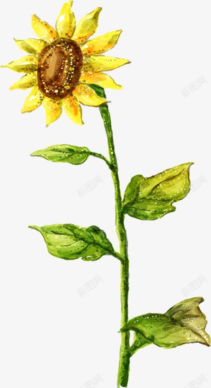 手绘黄色可爱花朵向日葵png免抠素材_新图网 https://ixintu.com 可爱 向日葵 花朵 黄色