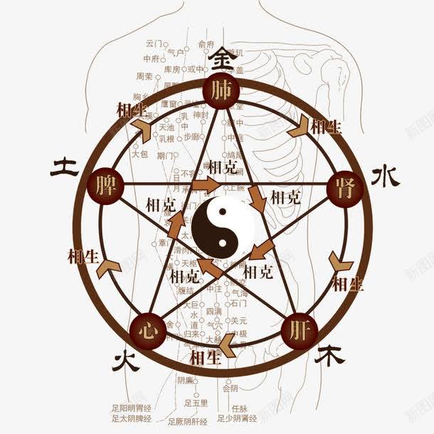 人体八卦图psd免抠素材_新图网 https://ixintu.com 八卦 八卦盘 形状 明点 易经八卦罗盘 穴位 经脉