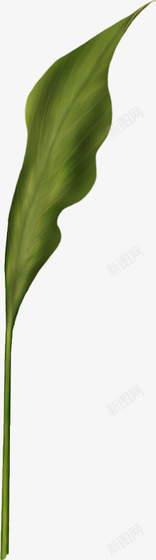 花卉唯美花卉图标png_新图网 https://ixintu.com 手绘花草 手绘花草素材 手绘装饰素材 植物花草素材 水彩花卉素材 花草图案素材 装饰图标
