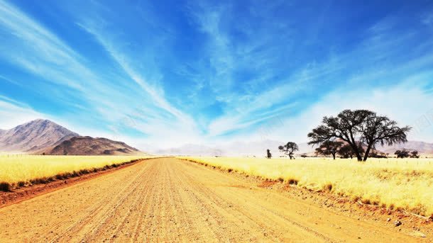 宽阔的萨凡纳金道路壁纸jpg设计背景_新图网 https://ixintu.com 壁纸 宽阔 道路