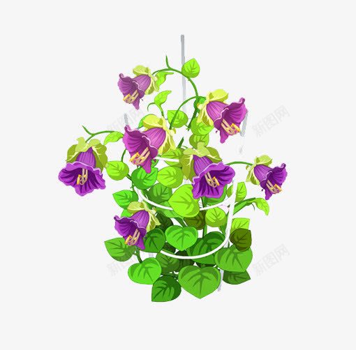 紫藤萝花png免抠素材_新图网 https://ixintu.com 植物 紫色 绿叶 花朵