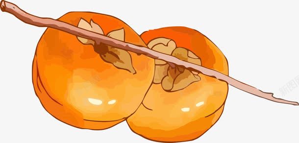 两个柿子png免抠素材_新图网 https://ixintu.com 免抠柿子 柿子 水果 美味 食物