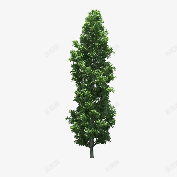 景观前景树png免抠素材_新图网 https://ixintu.com 前景树 景观 景观前景树 树木