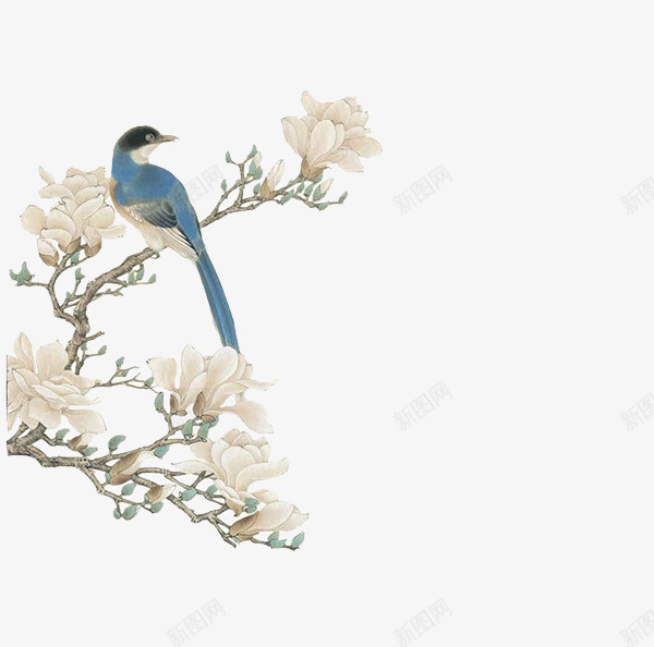 工笔画树枝花鸟png免抠素材_新图网 https://ixintu.com 中国风 树枝 淡雅 花鸟