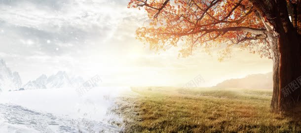 季节转换jpg高清背景_新图网 https://ixintu.com 季节 转换