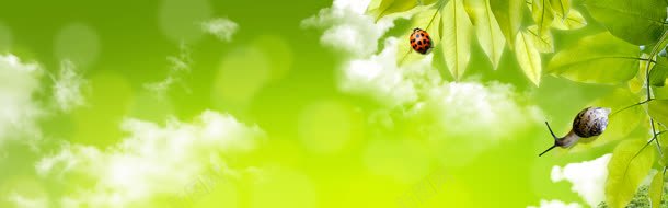 家具梦幻背景jpg设计背景_新图网 https://ixintu.com 家具 梦幻 背景