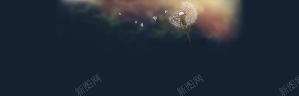 深色蒲公英飞背景bannerjpg设计背景_新图网 https://ixintu.com banner 深色 背景 蒲公英 飞