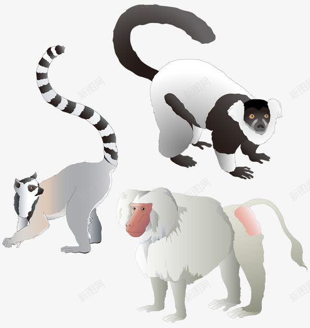 卡通猿猴png免抠素材_新图网 https://ixintu.com 动物 国家二级保护动物 爬树 猿猴 稀有动物 长臂猿