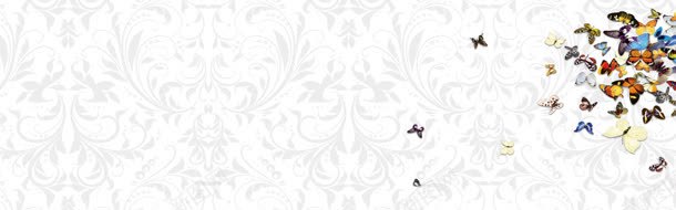 简约唯美蝴蝶海报背景bannerjpg设计背景_新图网 https://ixintu.com banner 海报 简约 背景 蝴蝶