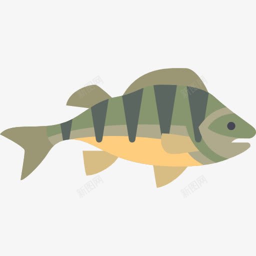 鲈鱼图标png_新图网 https://ixintu.com 动物 栖息 水族馆 水生野生动物 鱼类