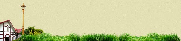 零食进口可爱甜美风jpg设计背景_新图网 https://ixintu.com 可爱 甜美 进口 零食