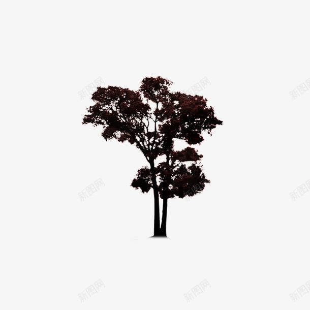晚上的树png免抠素材_新图网 https://ixintu.com 晚上 树 轮廓
