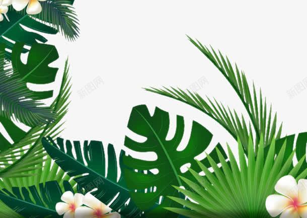 合成创意草本植物花卉png免抠素材_新图网 https://ixintu.com 创意 合成 花卉 草本植物