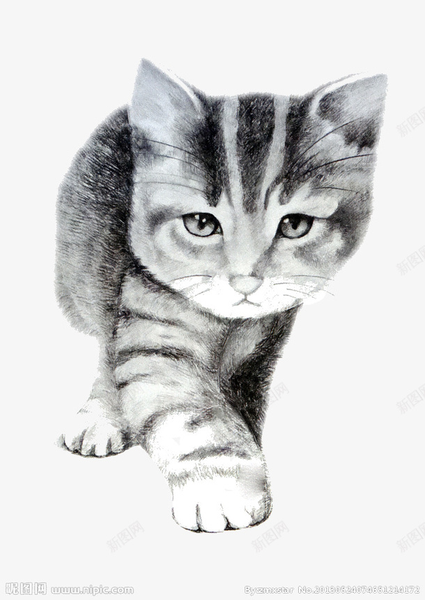 猫png免抠素材_新图网 https://ixintu.com 可爱 灰色 猫 素描