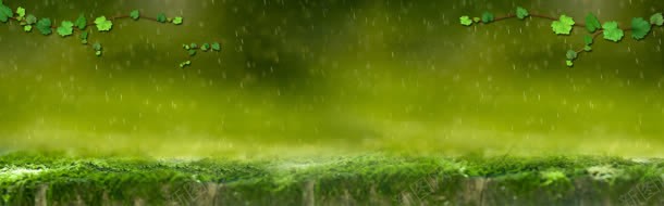 绿色清新背景jpg设计背景_新图网 https://ixintu.com 树叶 树枝 清新 绿色 雨