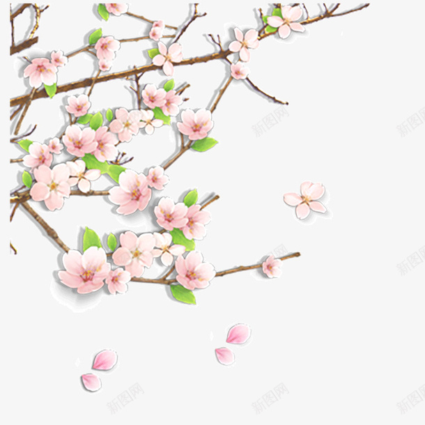超好的粉梅花png免抠素材_新图网 https://ixintu.com 一剪梅 一枝梅花 梅 的 粉 花 超