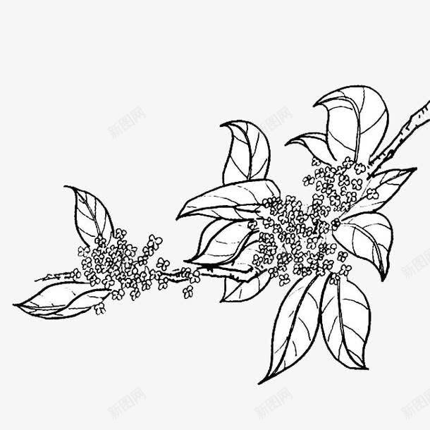 桂花花瓣背景png免抠素材_新图网 https://ixintu.com 手绘 桂花 桂花插画 桂花花瓣 花瓣