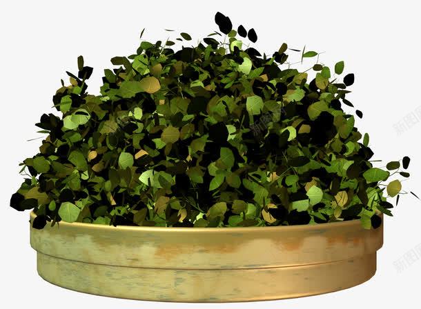 花坛png免抠素材_新图网 https://ixintu.com 园林景观 景物实物 景观植物 植物 植物png图片 植物免抠PNG 植物免费下载 绿色植物 花坛 装饰植物