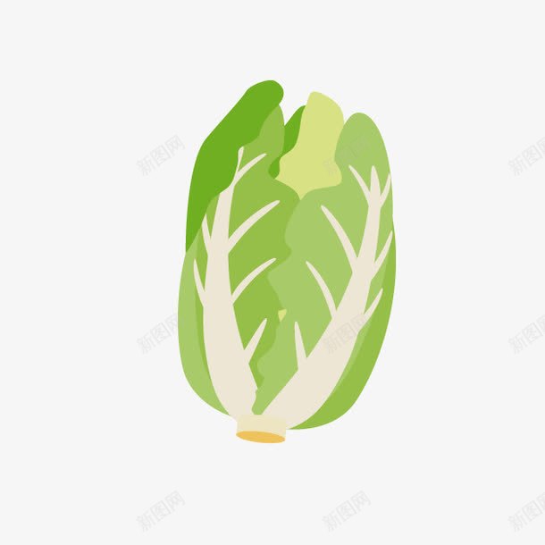 食物美食png免抠素材_新图网 https://ixintu.com 白菜 美食 菜 菜肴 食品 食材 食物