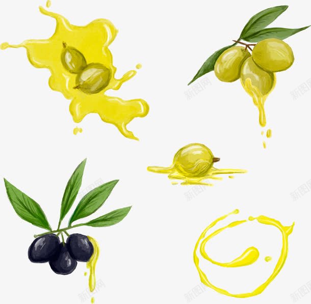 手绘橄榄油png免抠素材_新图网 https://ixintu.com 手绘 橄榄 橄榄油 水彩