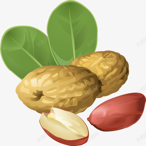 黄色简约花生装饰图案png免抠素材_新图网 https://ixintu.com 免抠PNG 简约 花生 装饰图案 黄色