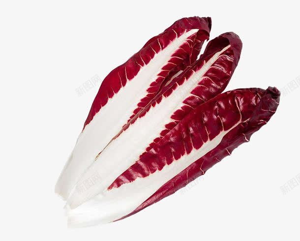 比利时菊苣png免抠素材_新图网 https://ixintu.com png 沙拉 粮食 菊苣 菊苣根 蔬菜
