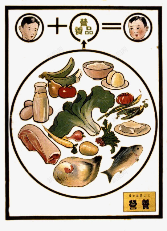 营养食品psd免抠素材_新图网 https://ixintu.com 插画 营养食品 饮食