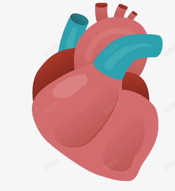 心脏器官图标png_新图网 https://ixintu.com 五脏六腑 人体 人体五脏 人体内脏器官 人体器官 内脏 卡通人体器官图标 器官 心 肝脏 肺 胃