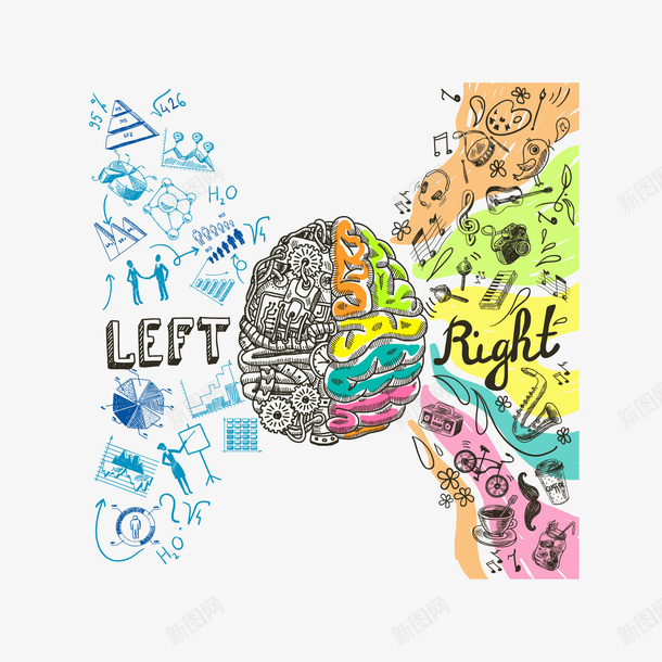 大脑的记忆矢量图eps免抠素材_新图网 https://ixintu.com EPS免抠 大脑 手绘 矢量免抠 记忆 高清大图 矢量图