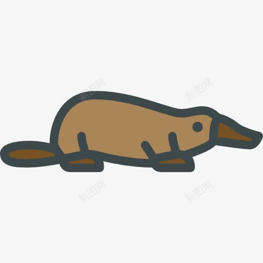 鸭嘴兽图标png_新图网 https://ixintu.com 动物 动物园 动物王国 野生动物 鸭嘴兽