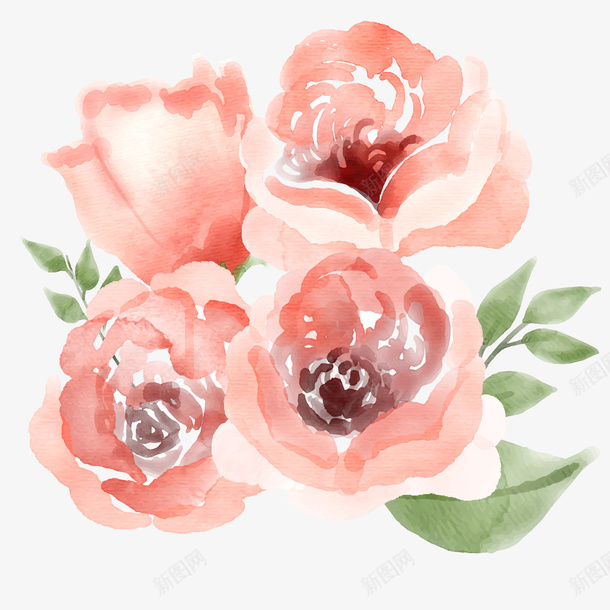 水彩绘4朵粉色玫瑰花png免抠素材_新图网 https://ixintu.com 卡通花卉 水彩绘花卉 粉色玫瑰花 背景装饰