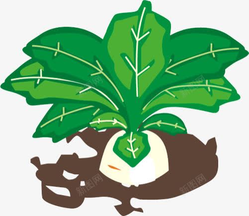 卡通png免抠素材_新图网 https://ixintu.com 卡通 叶子 白萝卜