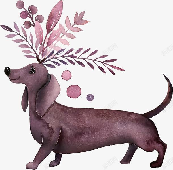 手绘贵宾犬和花草插画png免抠素材_新图网 https://ixintu.com 卡通装饰 广告设计 微笑的狗狗 文艺清新风插画 海报设计 贵兵犬 贵宾犬和花草