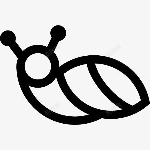 蜗牛图标png_新图网 https://ixintu.com mollucs 动物 无脊椎动物 缓慢 蛞蝓
