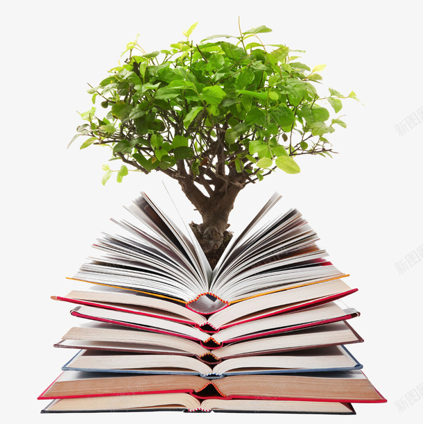 树png免抠素材_新图网 https://ixintu.com 书本 书籍 以他书 树 绿色