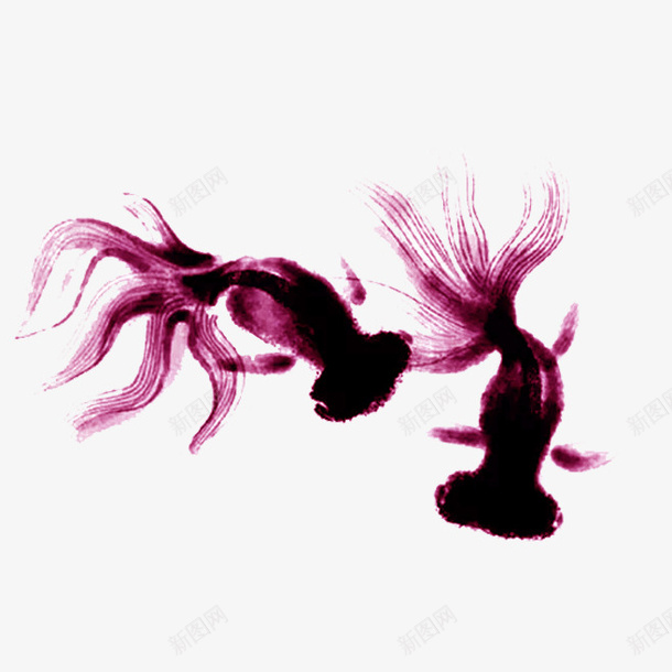 彩色虎头鱼png免抠素材_新图网 https://ixintu.com 写意 国画 彩色水墨鱼 水墨 生动 紫色 红色 虎头鱼 金鱼