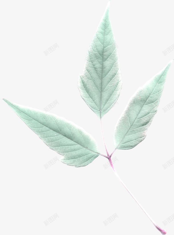 质感纹理背景装饰图案png免抠素材_新图网 https://ixintu.com 复古图案 复古图片 装饰图案 装饰图案psd 装饰图片