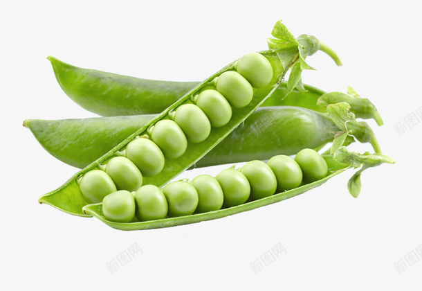 绿色扁豆png免抠素材_新图网 https://ixintu.com 扁豆 简图 绿色 豆荚