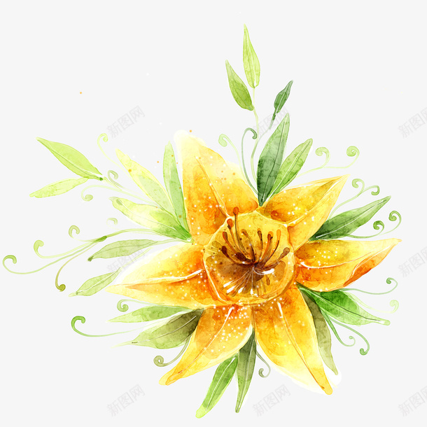 花朵手绘png免抠素材_新图网 https://ixintu.com 彩绘花 彩绘花卉 手绘 手绘植物花卉 手绘花 花卉装饰 花朵手绘