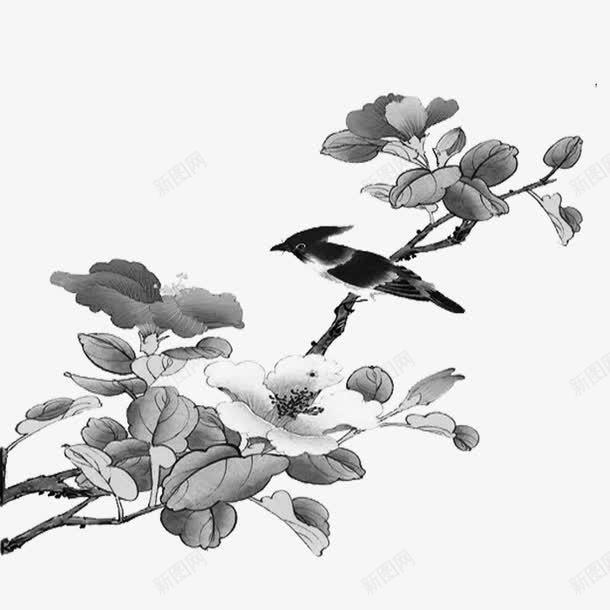 黑白花朵png免抠素材_新图网 https://ixintu.com 动物 植物 花开
