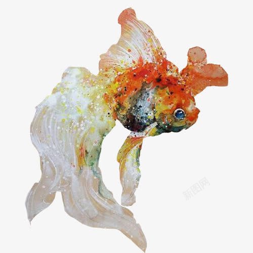 金鱼油画片png免抠素材_新图网 https://ixintu.com 动物 油画 游动中的鱼 白色鱼鳍