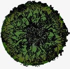 景观彩平图png免抠素材_新图网 https://ixintu.com 俯视图 景观彩平图 素材