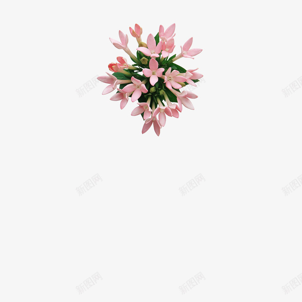 百花图png免抠素材_新图网 https://ixintu.com 粉色 花卉