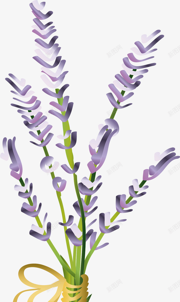 紫色手绘风格卡通薰衣草png免抠素材_新图网 https://ixintu.com 卡通薰衣草 手绘风格 植物 矢量薰衣草 紫色薰衣草 草本 薰衣草