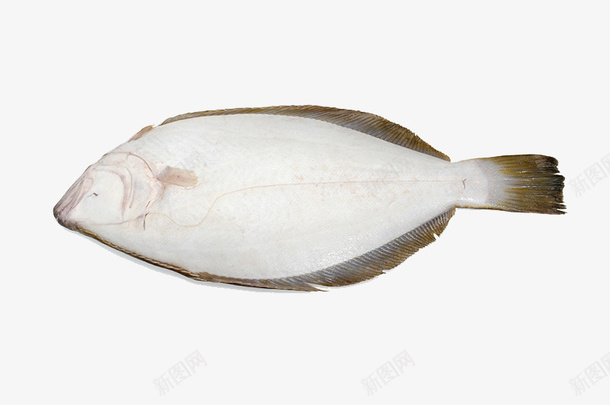 中华料理海鲜鱼png免抠素材_新图网 https://ixintu.com 中华 料理 海鲜鱼