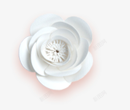 微立体白色鲜花png免抠素材_新图网 https://ixintu.com 微立体 白色鲜花 立体花卉 花卉 花朵 装饰花朵