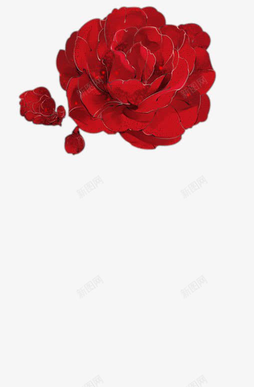 水彩花植物png免抠素材_新图网 https://ixintu.com 彩花 植物 素材