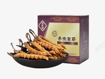 冬虫夏草药材png免抠素材_新图网 https://ixintu.com 中药 中药材 产品实物 冬虫夏草 滋补品 药材 虫草 食材 食物