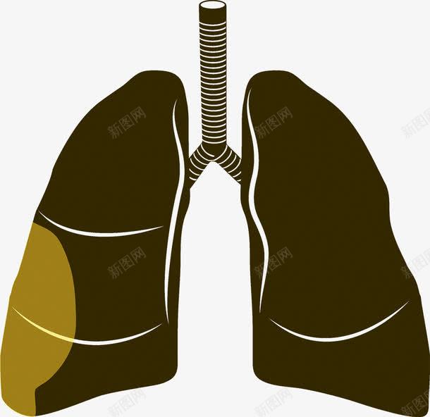人体肝脏png免抠素材_新图网 https://ixintu.com 人体 人体内脏器官 内脏 内脏图 器官 肝脏